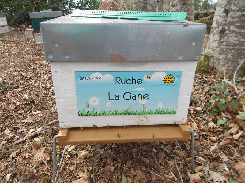 La ruche La Gane