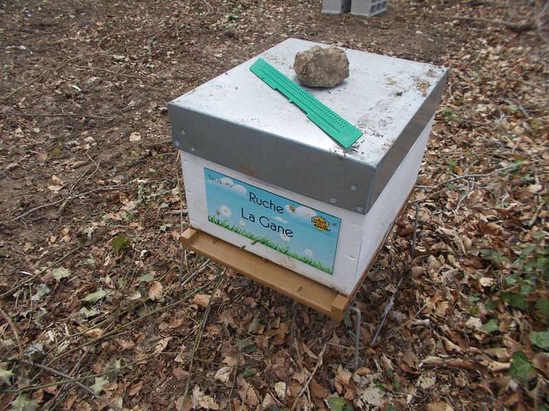 La ruche La Gane