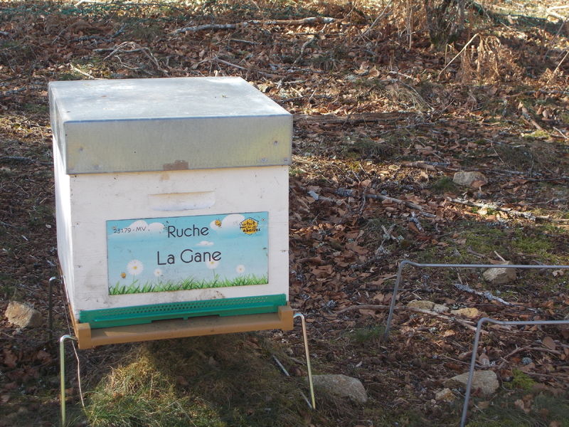 La ruche La Gane