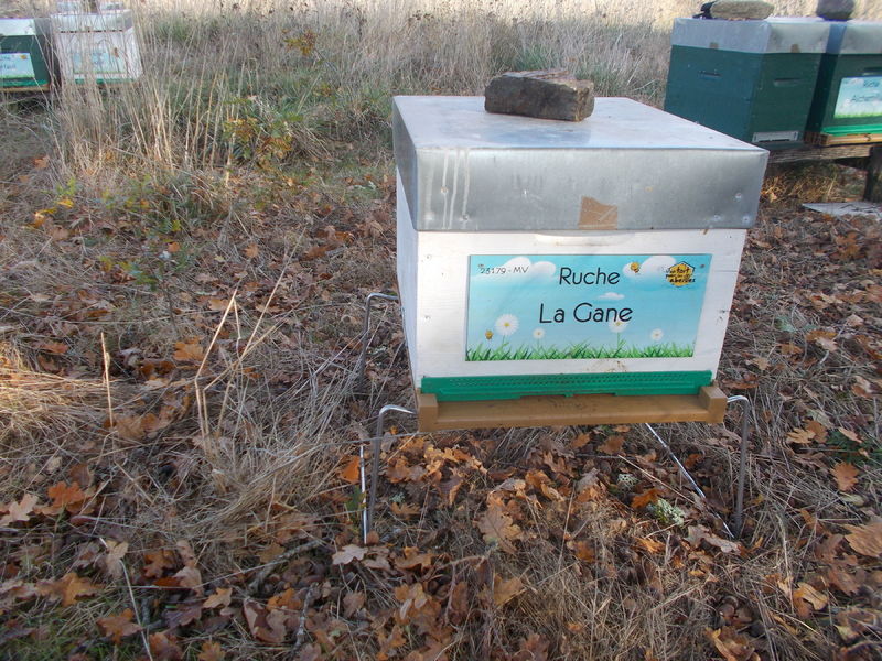 La ruche La Gane