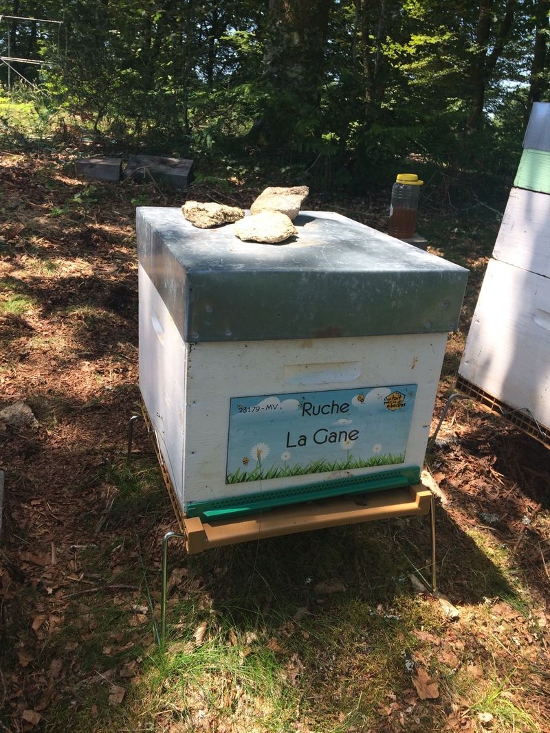 La ruche La Gane