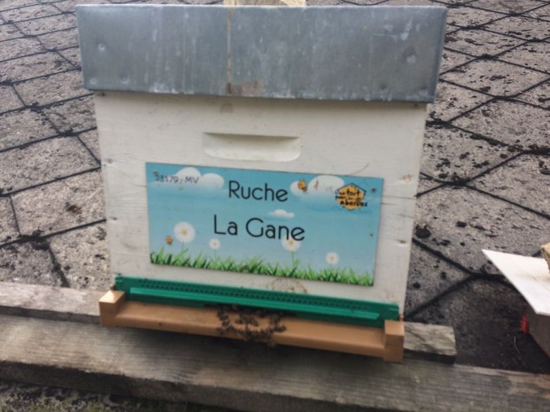 La ruche La Gane