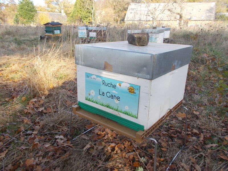 La ruche La Gane