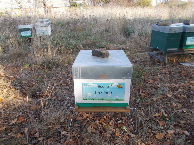 La ruche La Gane