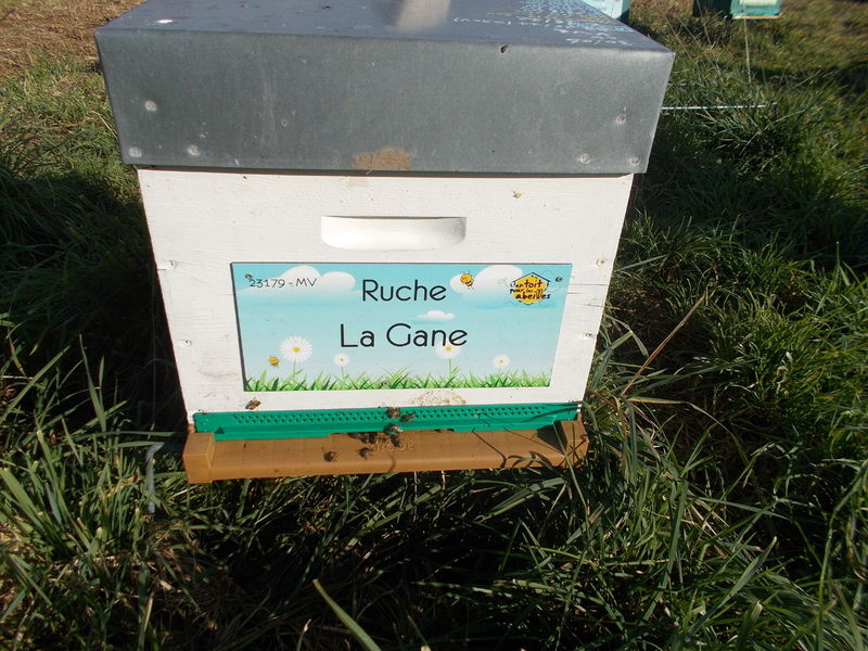 La ruche La Gane