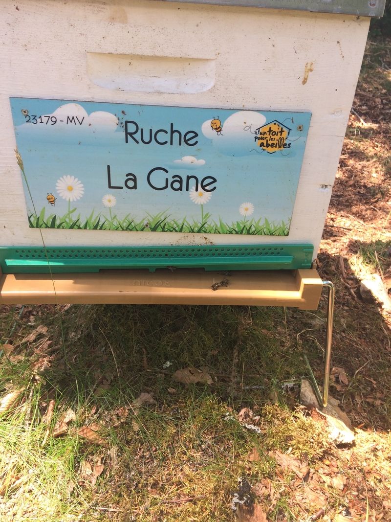 La ruche La Gane