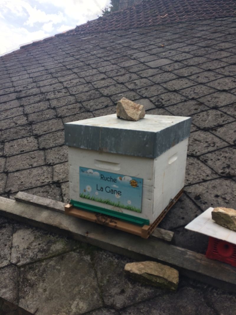 La ruche La Gane