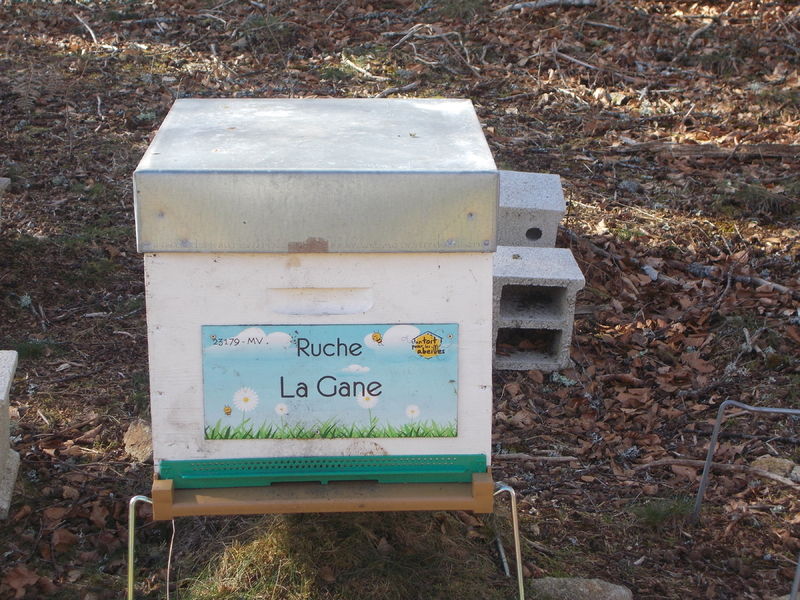 La ruche La Gane