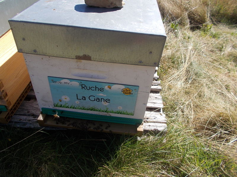 La ruche La Gane