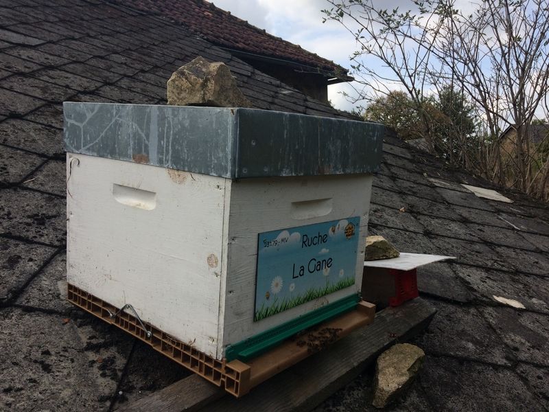 La ruche La Gane