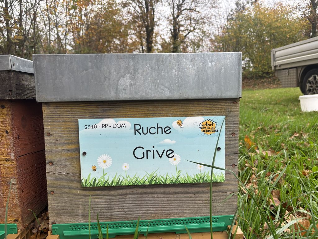 La ruche Grive