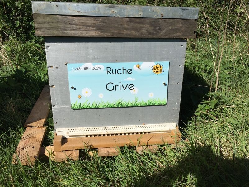 La ruche