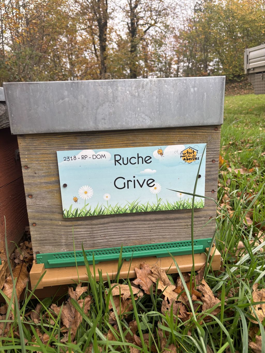 La ruche Grive
