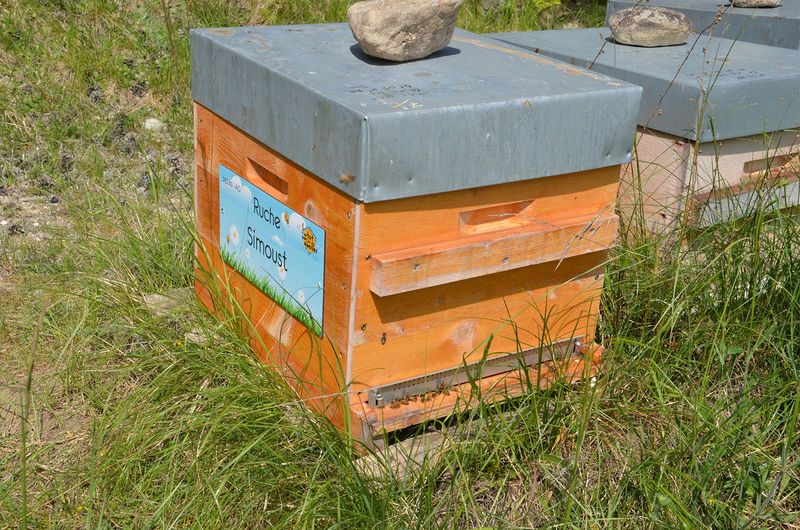 La ruche Simoust