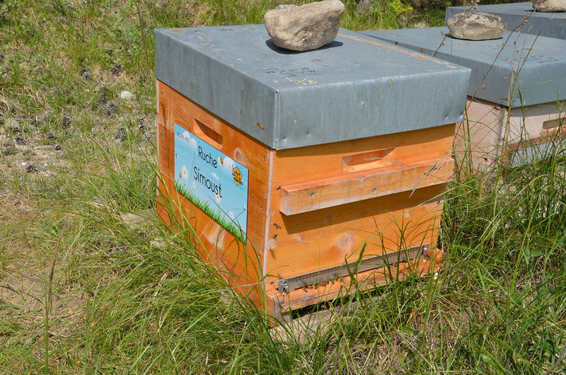 La ruche Simoust
