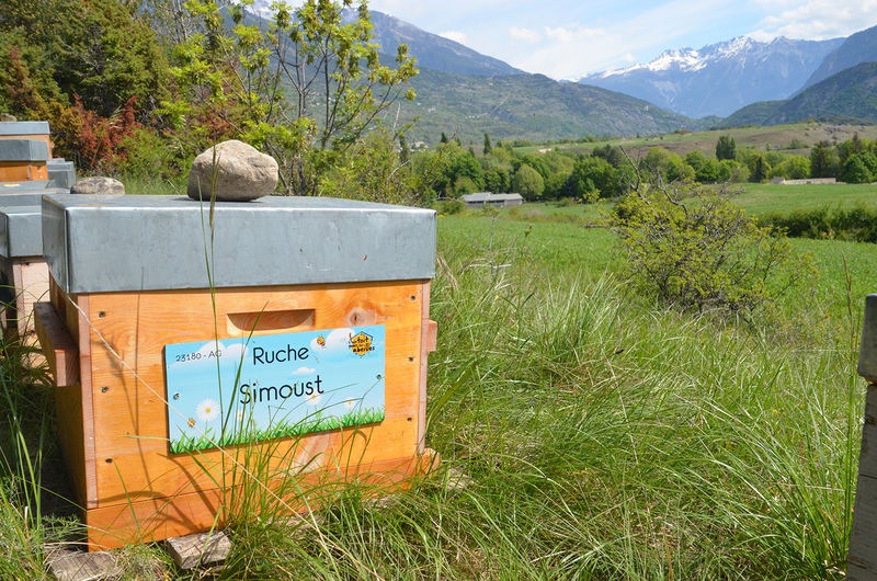 La ruche Simoust