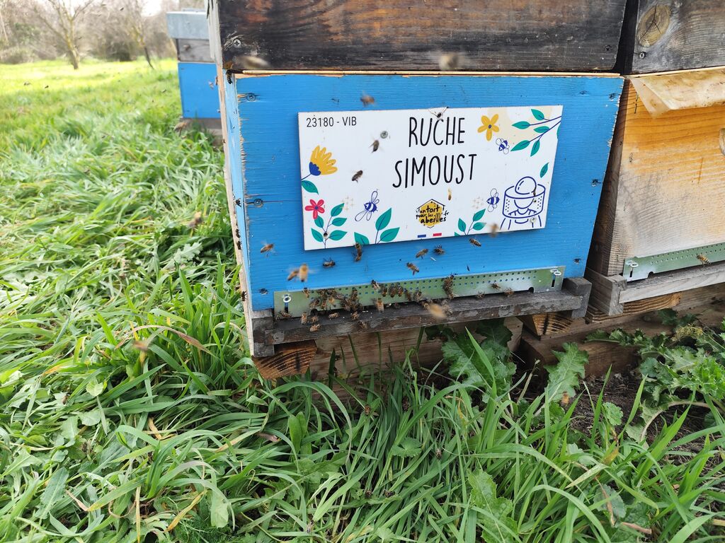 La ruche Simoust