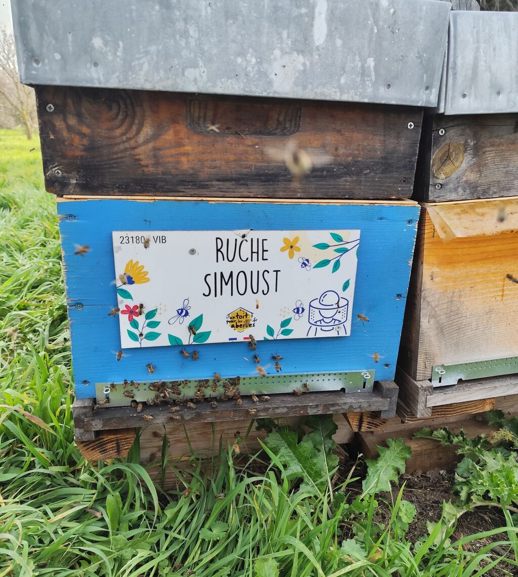 La ruche Simoust