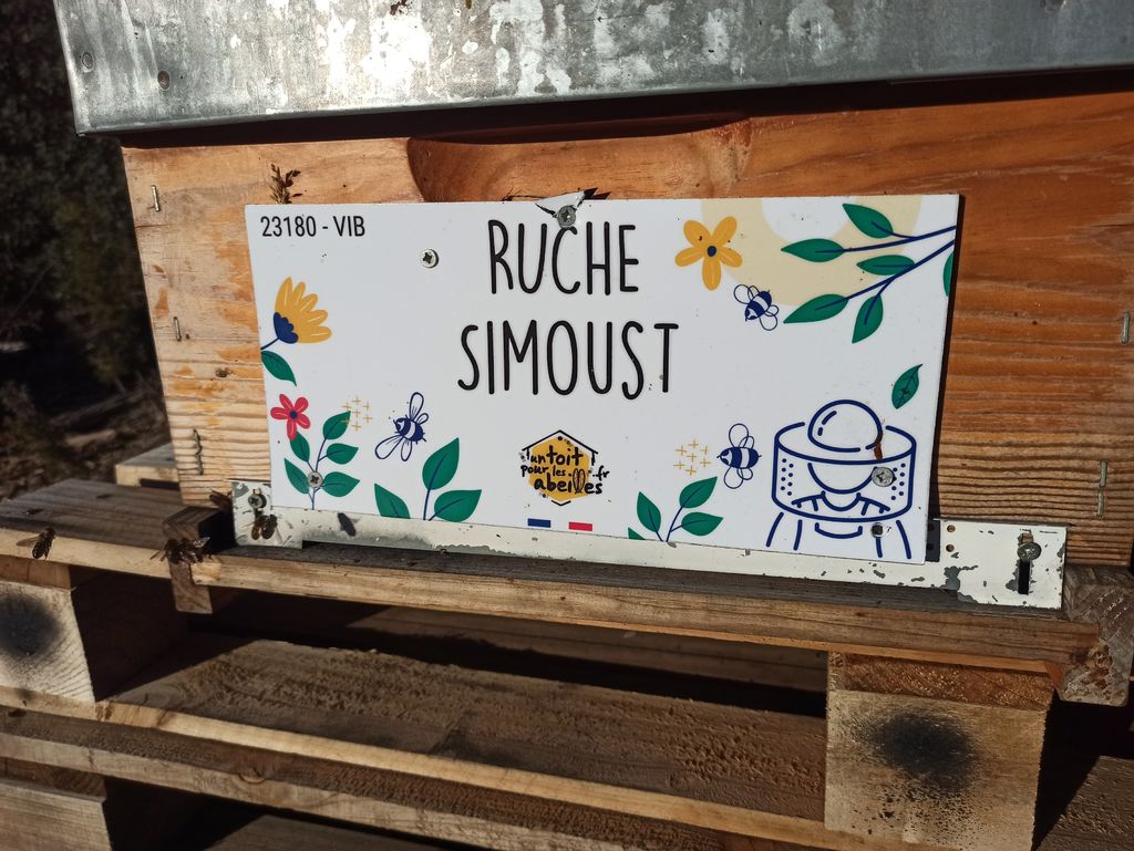 La ruche Simoust