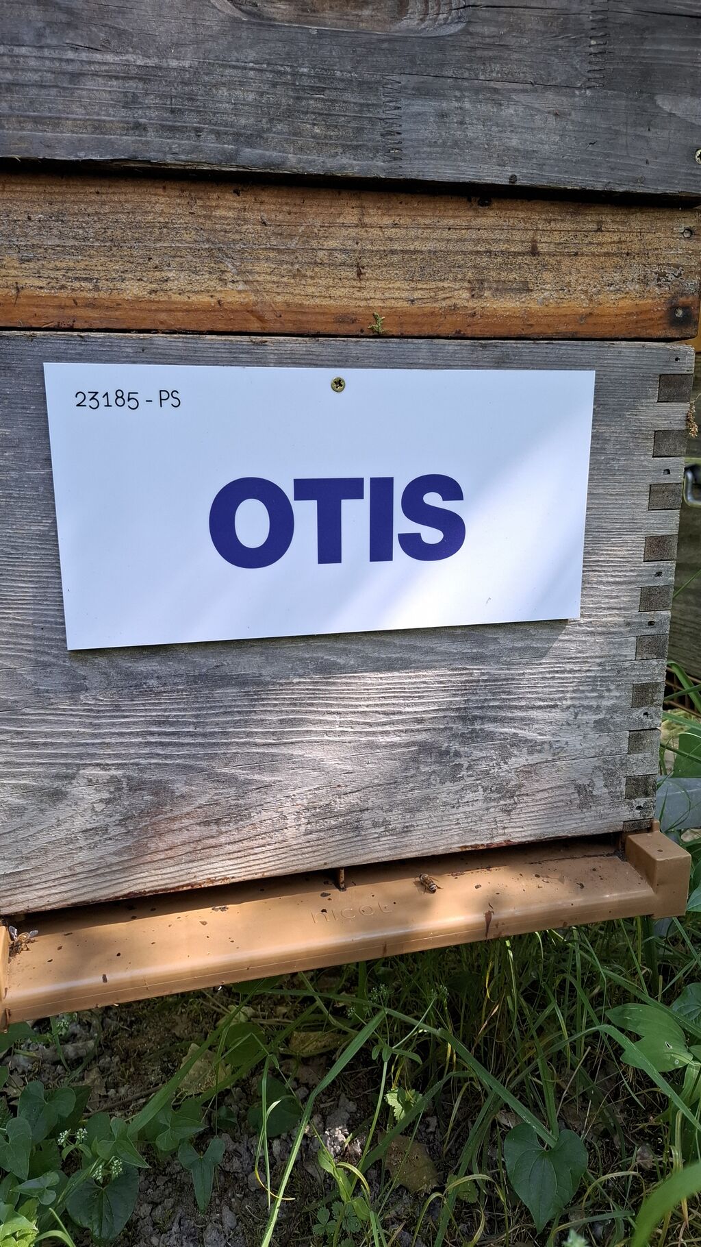 La ruche OTIS