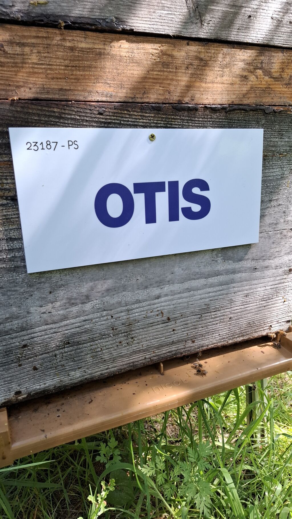 La ruche OTIS