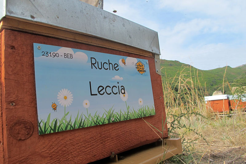 La ruche Leccia