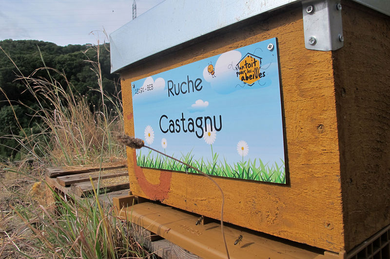 La ruche Castagnu