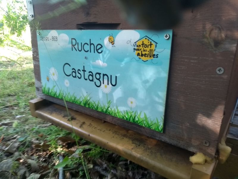 La ruche Castagnu