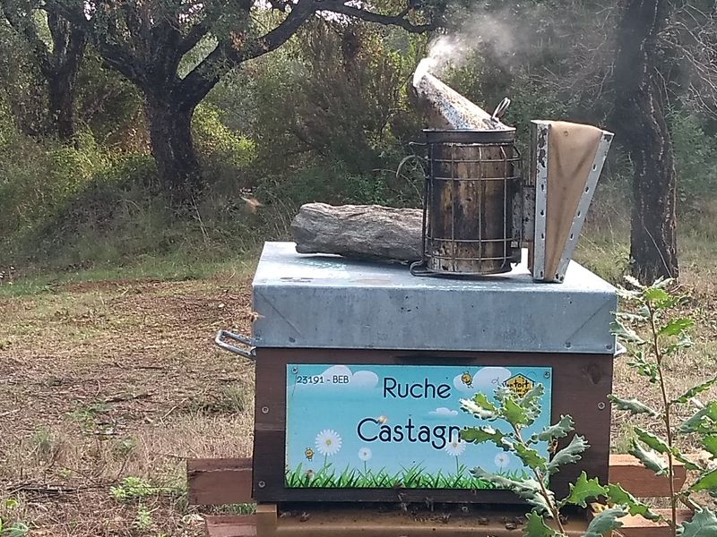 La ruche Castagnu