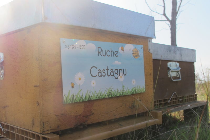 La ruche Castagnu