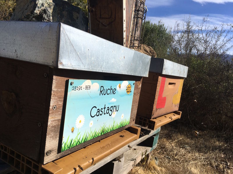 La ruche Castagnu