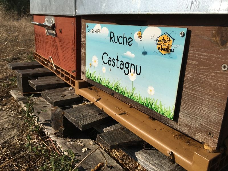 La ruche Castagnu