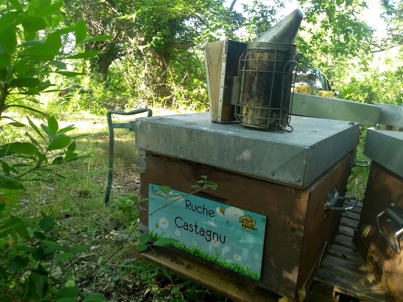 La ruche Castagnu