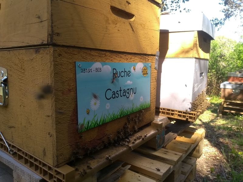 La ruche Castagnu