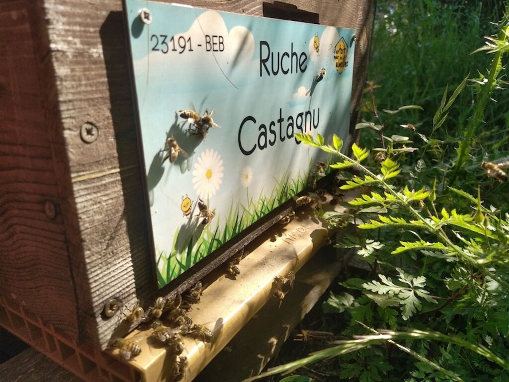La ruche Castagnu