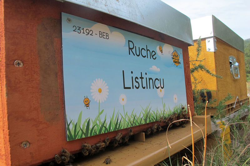 La ruche Listincu