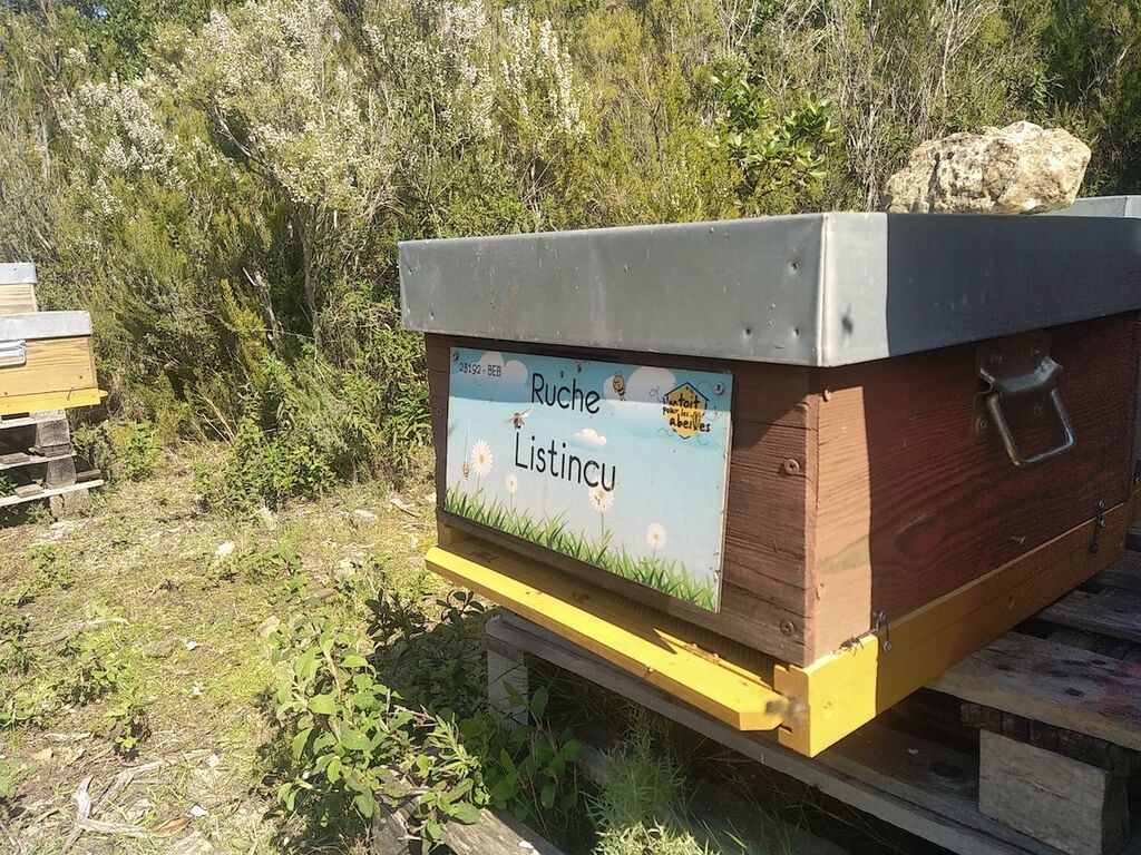 La ruche Listincu