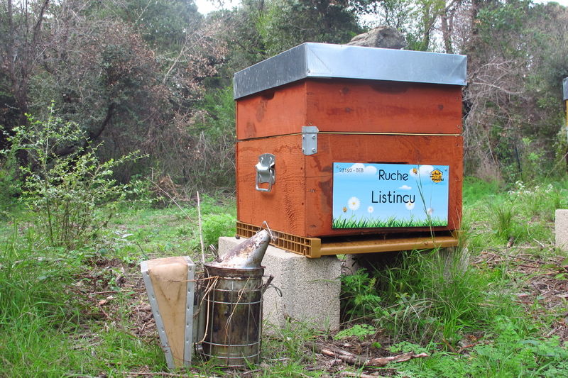 La ruche Listincu