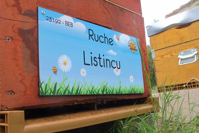 La ruche Listincu
