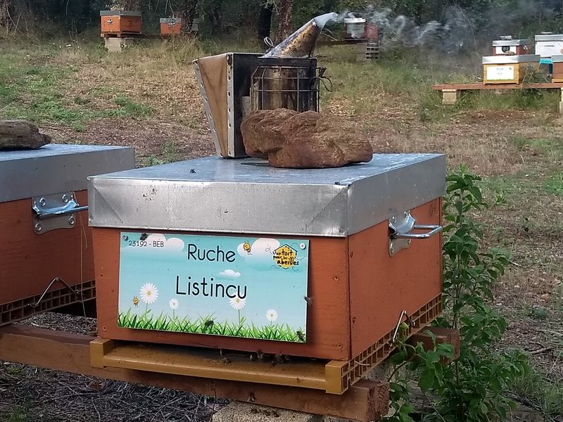 La ruche Listincu