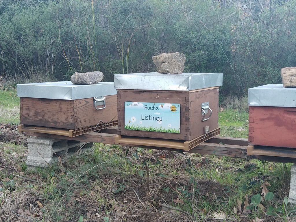 La ruche Listincu