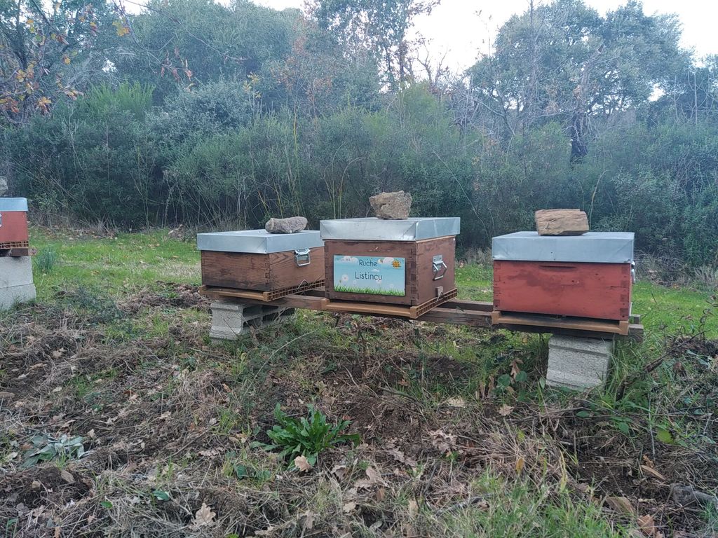 La ruche Listincu