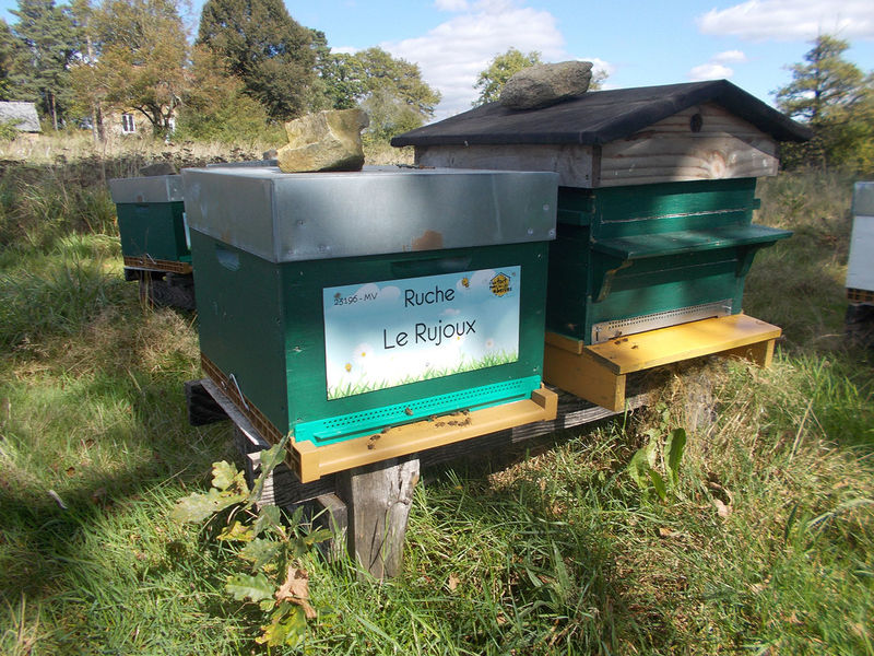 La ruche Le Rujoux
