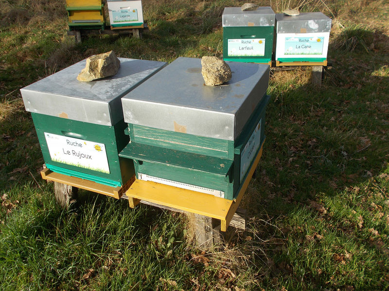 La ruche Le Rujoux