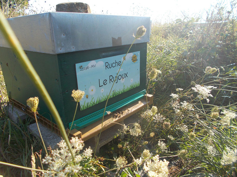 La ruche Le Rujoux