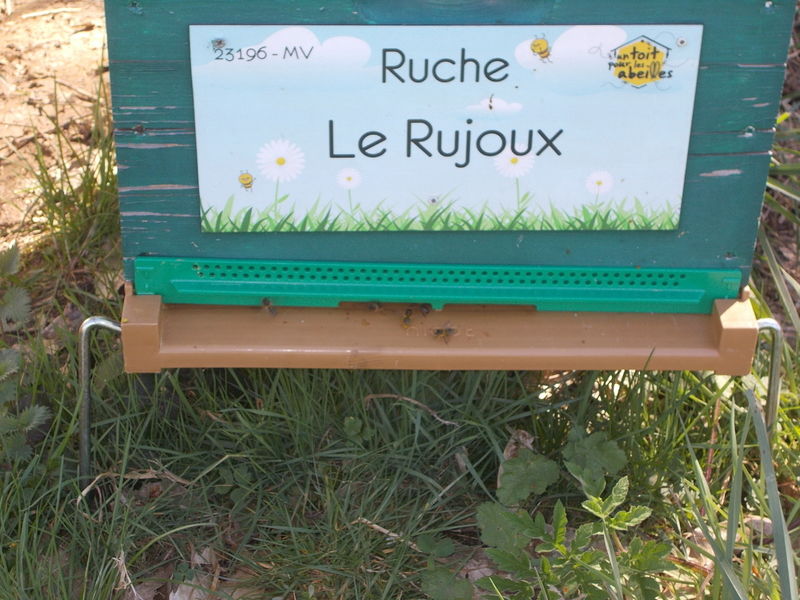 La ruche