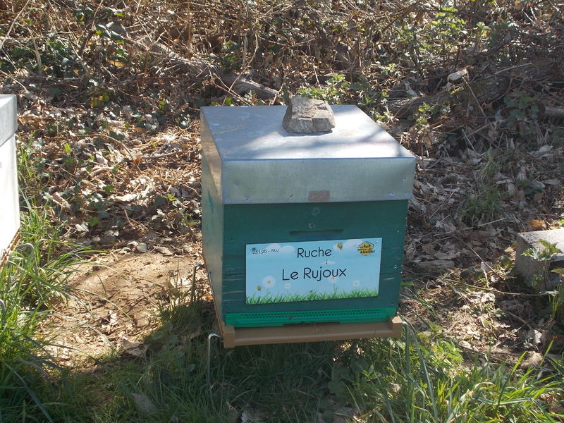La ruche Le Rujoux