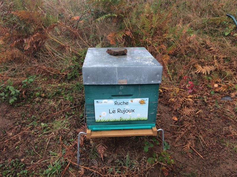 La ruche Le Rujoux