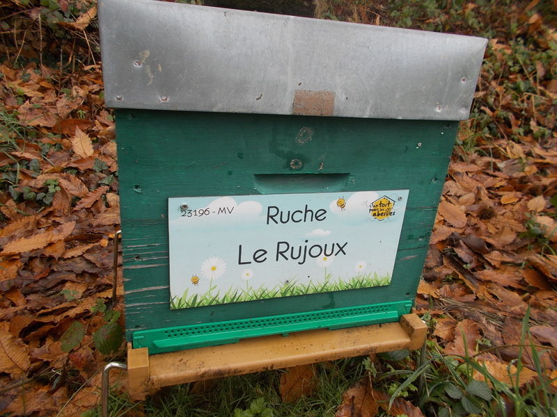La ruche Le Rujoux