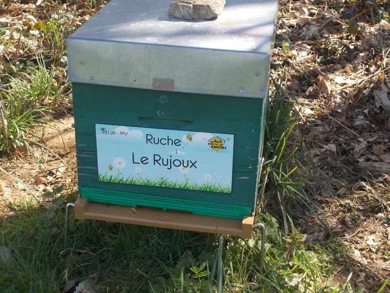La ruche Le Rujoux
